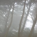 충남 예산군 봉수산 자연 휴양림 3 이미지