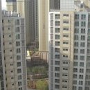 한미주