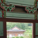 곰배령스케치 이미지