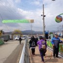 경기도 양평군 개군면 양평산수유 축제장 여행. 이미지