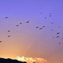 남해노을 이미지