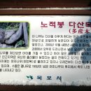 다순구미 이미지