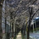 주흥3길 34 이미지