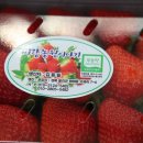 비량농원 이미지