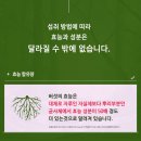 경부