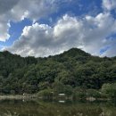 아기강아지 | 횡성하면 뭐다 ? 횡성한우축제 ! 아기랑 강아지랑 다녀온 후기 / 수유실 정보까지