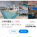 스테이 플랑 이미지