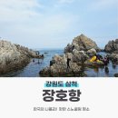 황금 찹살 꽈배기 | 삼척 장호항 스노쿨링 주차 간식등 재미나게 놀다 온 후기에요~^^