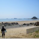 태안바다 이미지