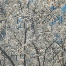 대영 태양광발전소 이미지