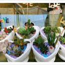 박은영농장 이미지