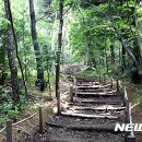 네이처 베이스캠프