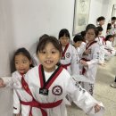 용인대신일태권도장
