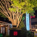 몽촌토성보리밥손칼국수 | 4/17. [하남/미사] 몽촌토성보리밥손칼국수 내돈내산 후기 😋