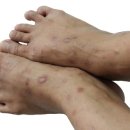 디앤에프 이미지