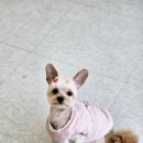 오늘도 너에개 이미지