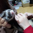 가브리엘의 다락방 이미지