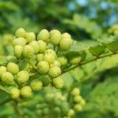 송선2리 이미지