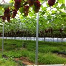 지율농장 이미지