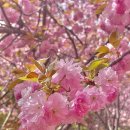 완산-20 이미지