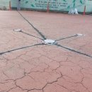 신라초등학교 이미지