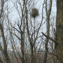 까치공원 앞 이미지