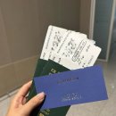 대한항공 비즈니스석 프레스티지 B777-300 솔직 후기 ㅣ 인천 ICN to AMS 암스테르담 … ✈ 마일리지...
