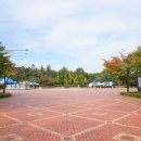 영등시민공원 축구장 이미지