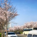 탄천2호 공영노외주차장 이미지