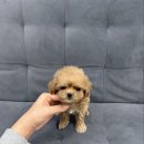 수원-0918 이미지