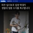 파주 입양 연쇄학대살해사건(내용,사진 잔인 주의) 서명 주소 있음 이미지