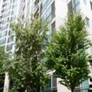 하남대로802번길 이미지