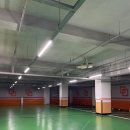 플레이독(애견유치원&호텔) 이미지