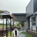경북 상주 독채펜션 랑데뷰스테이 수영장 노래방 바베큐 촌캉스 즐기기