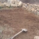 돌담하우스(민박) 이미지