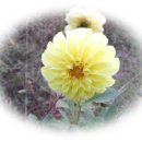 1. 천산동이홍익사상(天山東夷弘益思想) 고찰(考察)