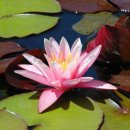 분당노인종합복지관 이미지