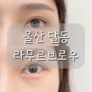 삼산지구대 화장실 | 달동속눈썹 잘하는 곳 울산삼산속눈썹펌 라무르브로우 솔직후기