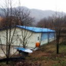 감먹은 토끼 이미지