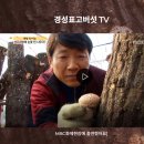 meta plant | 경성표고버섯농장 Meta 광고 자동화