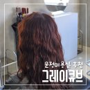 로타리카페 운정점 | 운정미용실 추천 그레이큐브 운정점 송이디자이너님 히피펌후기