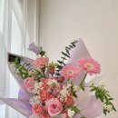 블랑-메이 이미지