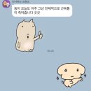 메가엠지씨커피 군산나운점 | 군산 PT 군산 헬스장 :: 민성쌤의 PT 후기🔥