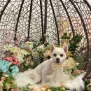 오늘, 더 예쁘게 이미지