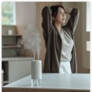 누리덴 | 알리사 미니 초음파 듀얼 가습기 (가숲기), 내돈내산 후기