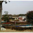 (주)보라투어 - 서구 | (주)보라투어