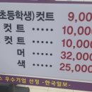 머리못하는집 - 161328 | 머리못하는집