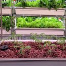 부산꿈지역아동센터 이미지