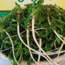 재식농장 이미지