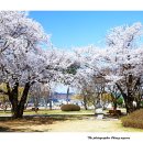 신철원감리교회 이미지